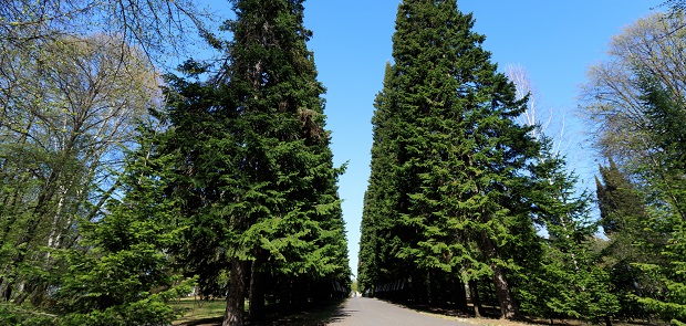 <p>Ботанический сад &laquo;Ермаково поле&raquo;</p>